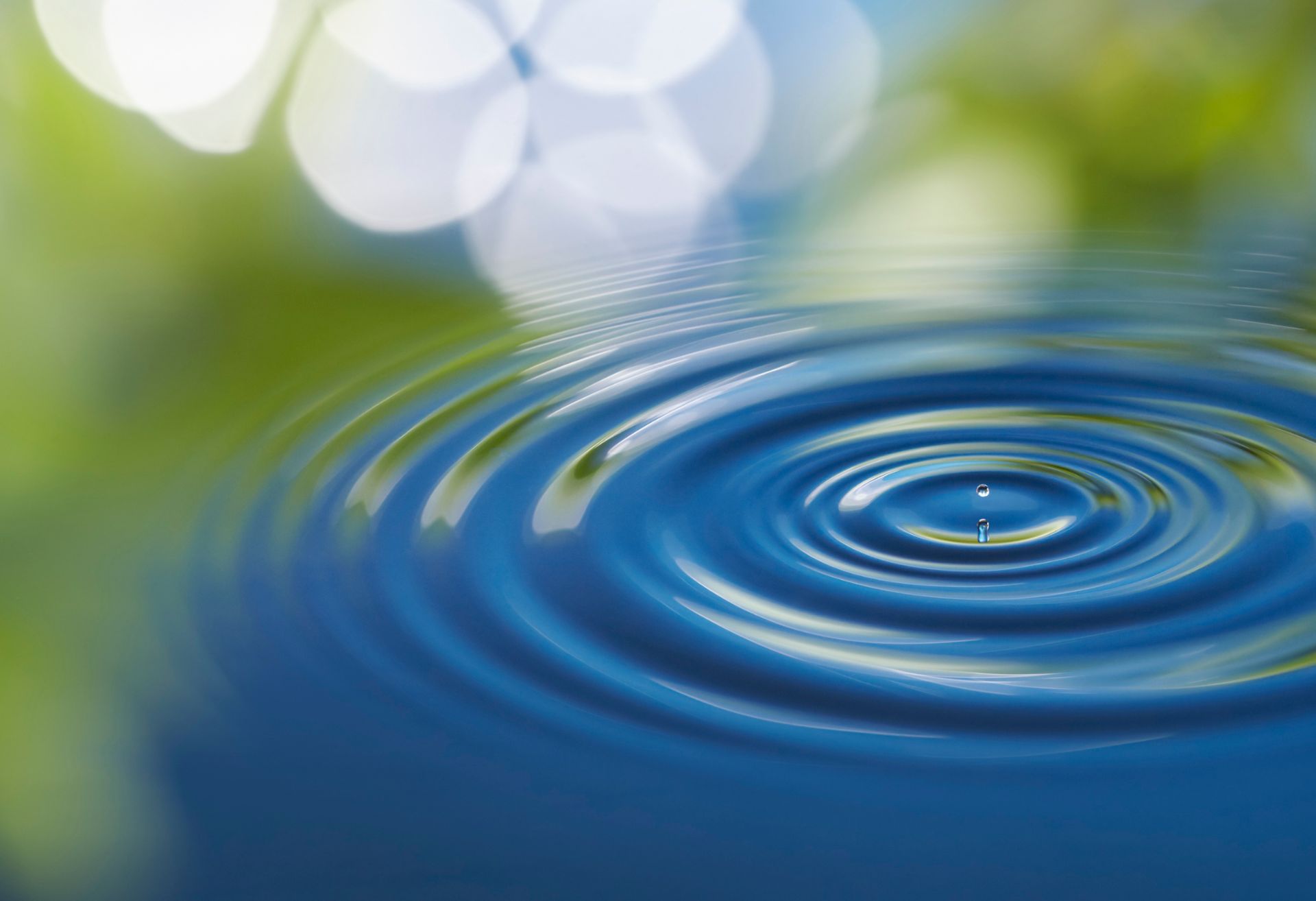 Image of water droplet in a pond creating a ripple.